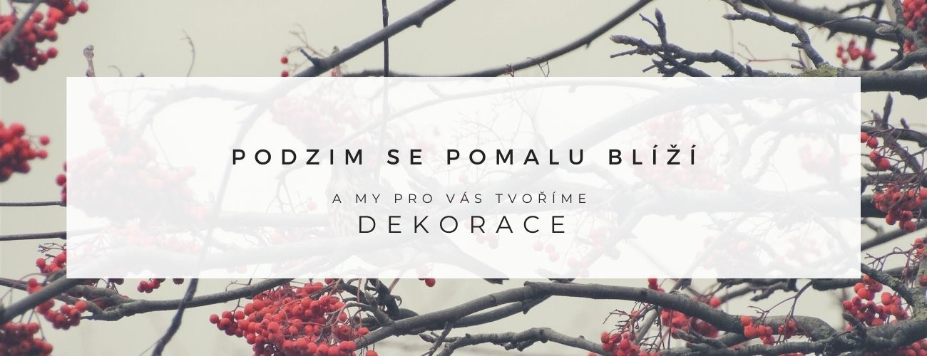 PODZIM SE POMALU BLÍŽÍ